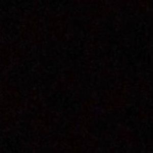 Meet your Posher, Mia